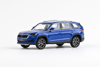 �koda KODIAQ FL(2021)EnergyBlu