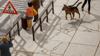 40x*Ve�koform-Beton-Dosk*23x23